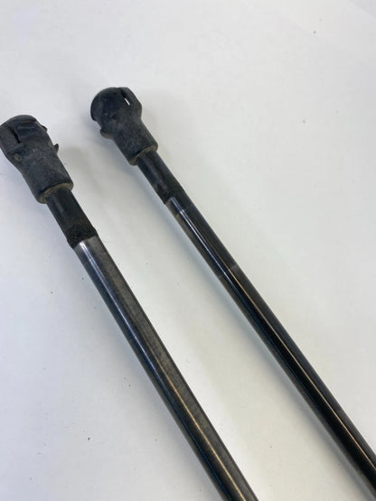 2004-2010 BMW X3 REAR TRUNK HATCH LIFT SUPPORT CYLINDER SHOCK STRUT SET OEM