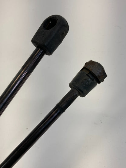 2002-2004 Nissan Pathfinder Rear Trunk Liftgate Support Shock Struts Pair LH RH