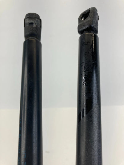 2000-2006 TOYOTA TUNDRA HOOD SHOCK STRUTS LIFT SUPPORT ABSORBER PAIR 53450-0C012