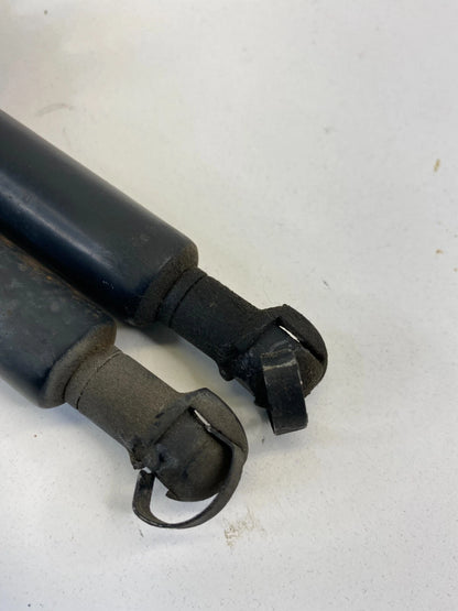 04-10 BMW X3 REAR TRUNK HATCH LIFT SUPPORT CYLINDER SHOCK STRUT SET 51243400379