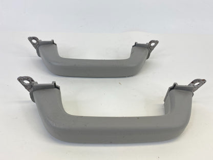 2008-2017 Buick Enclave B Pillar Grip Grap Grab Assist Handle Bar SET 10393818