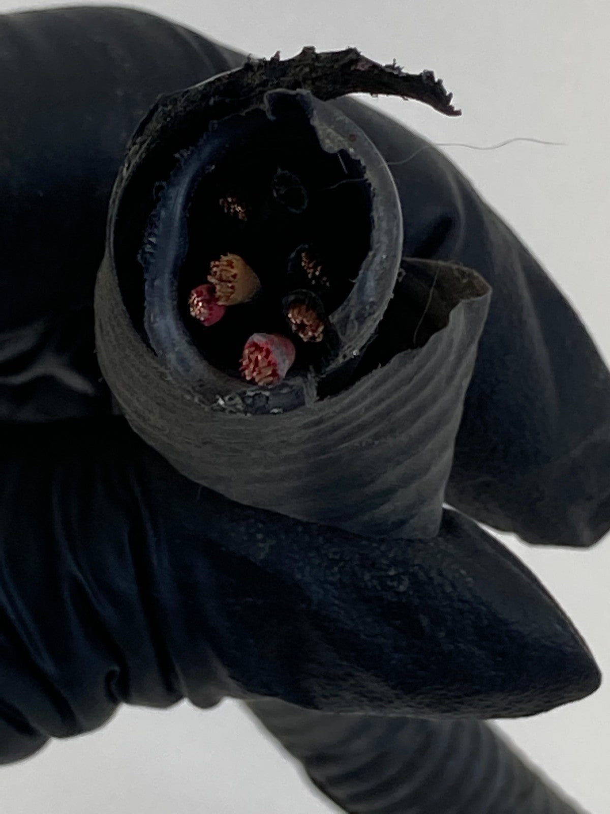 2009-2012 Toyota RAV4 Front Left Side Head Lamp Wire Harness Connector Plug