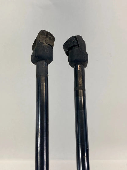 04-09 CADILLAC SRX BASE HATCH LIFTGATE LIFT CYLINDER STRUT SUPPORT PAIR 25736515