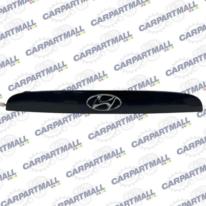 2006 2007 HYUNDAI ACCENT REAR LIFTGATE TAILGATE LICENSE MOLDING W/ EMBLEM & LAMP