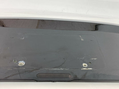 2005-2009 Chevrolet Equinox Rear Liftgate License Plate Trim Panel 5480982