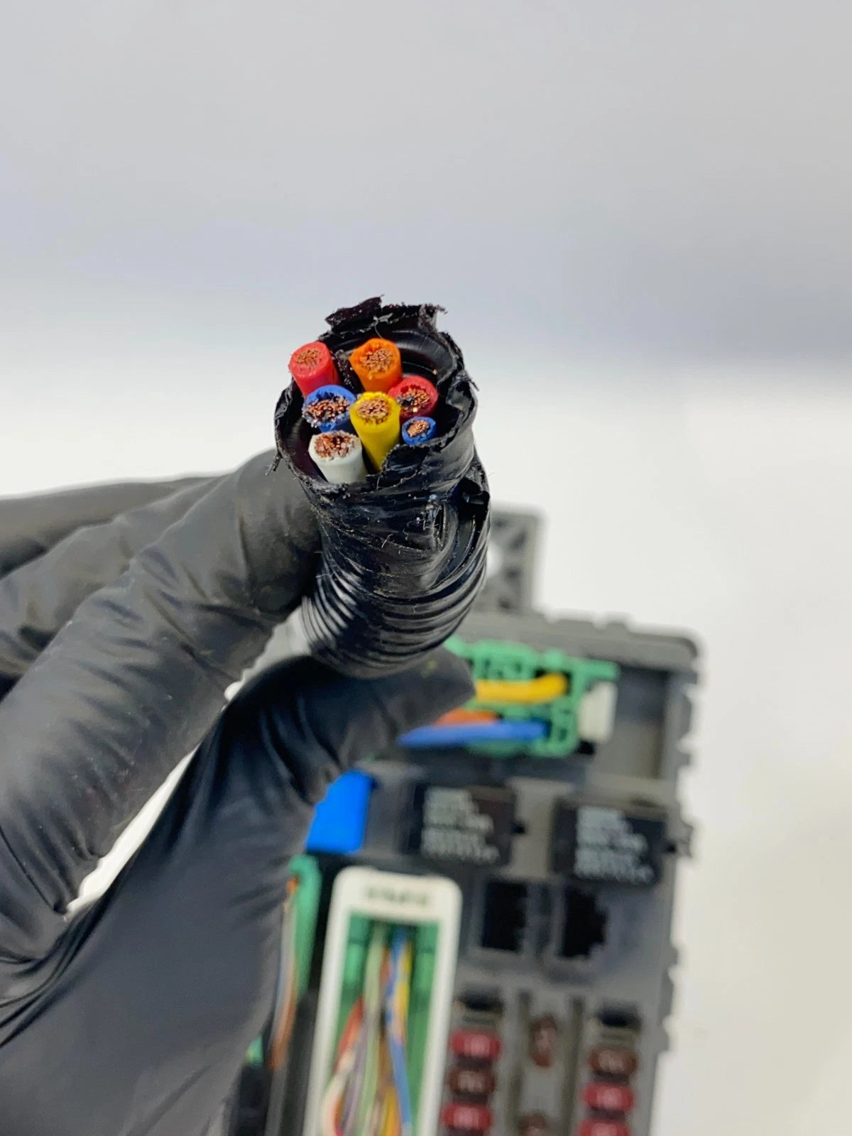 2008-2010 HONDA ACCORD 2.4L INTERIOR CABIN FUSE BOX RELAY PANEL OEM TA5-A301-AD