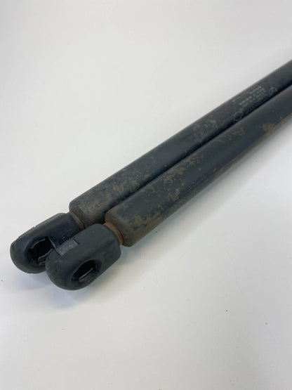 2003-2009 MERCEDES-BENZ E500 FRONT HOOD STRUT LIFT SUPPORT SHOCK PAIR OEM