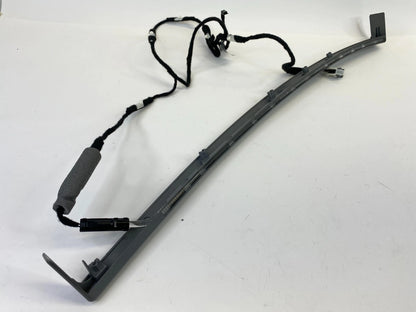 2002-2005 BMW 745I SEDAN REAR LEFT DRIVER SIDE DOOR MOLDING W/ HARNESS 6913147
