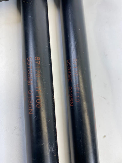 2005-2010 KIA SPORTAGE REAR TRUNK LUGGAGE LIFTGATE SHOCK STRUT SET 87170-1F100