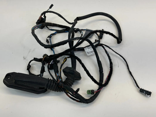 2008-2010 BMW 550I REAR LEFT DOOR WIRE WIRING HARNESS CABLE 9163159 OEM