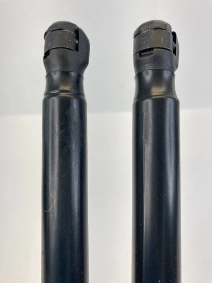 2005-2010 KIA SPORTAGE TAILGATE TRUNK LIFT CYLINDER STRUT SUPPORT SHOCK PAIR SET