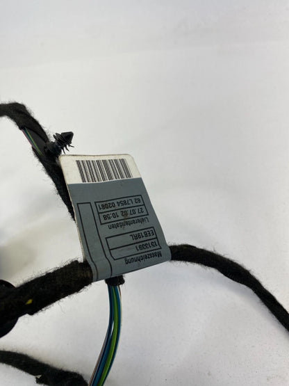 2002-2005 MINI COOPER FRONT LEFT DRIVER SIDE DOOR WIRE HARNESS 1513391 OEM