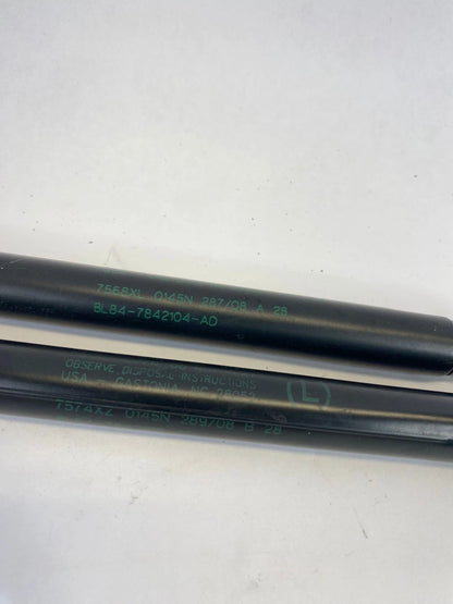 2008-2012 FORD ESCAPE REAR WINDOW LIFT SUPPORTS REAR OEM FACTORY 8L84-7842104-AD