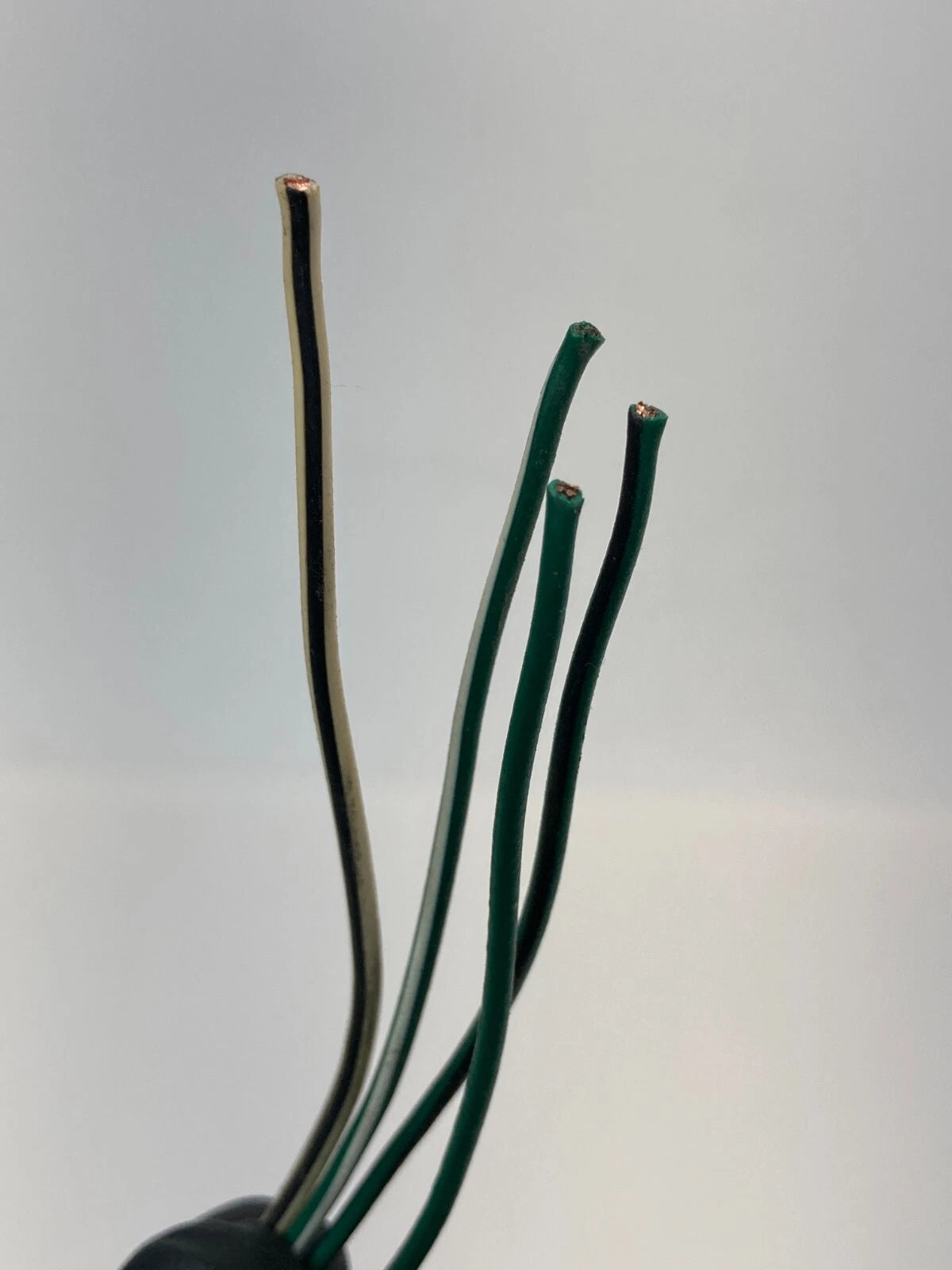 2003-2008 Toyota Corolla Rear Body Left Driver Side Taillight Wire Harness OEM