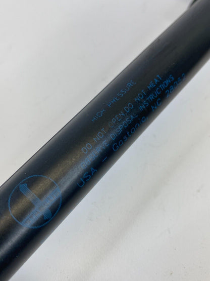 2002-2004 Nissan Pathfinder Rear Trunk Liftgate Support Shock Struts Pair LH RH