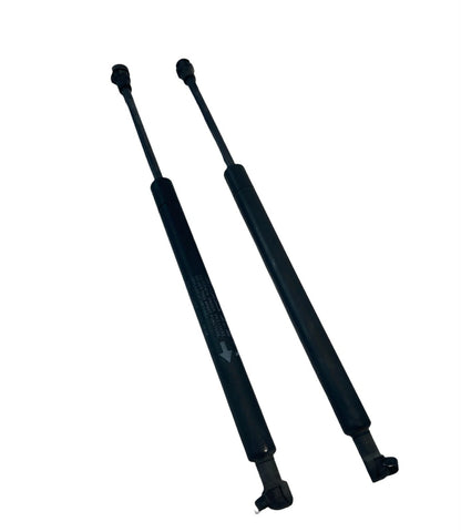 2003-2007 NISSAN MURANO LEFT & RIGHT HOOD SHOCK STRUTS LIFT SUPPORT SET OEM
