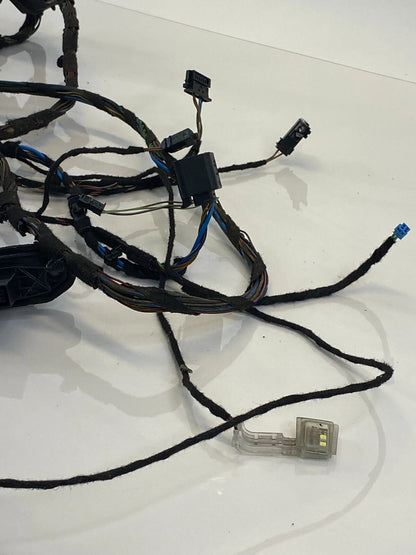 2007-2013 BMW X5 REAR LEFT DRIVER SIDE DOOR WIRING LOOM WIRE HARNESS 6937280 OEM