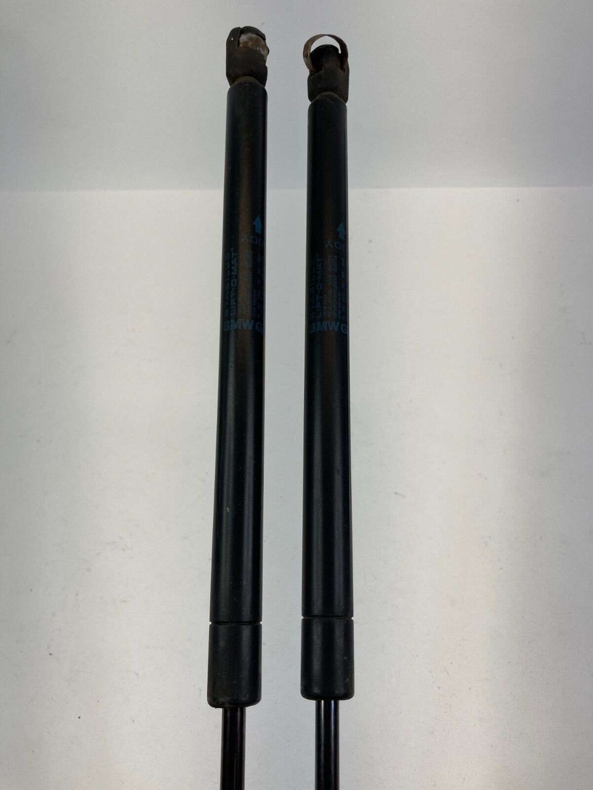 2002-2008 Mini Cooper Tailgate Liftgate Hatch Lift Support Shock Strut Set OEM