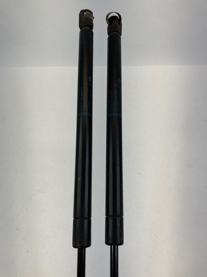 2002-2008 Mini Cooper Tailgate Liftgate Hatch Lift Support Shock Strut Set OEM