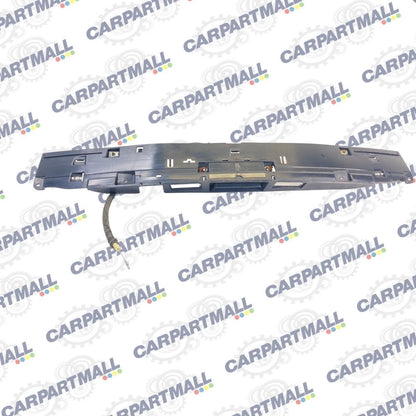 13 14 CHRYSLER TOWN & COUNTRY REAR LIFTGATE TAILGATE TRUNK LICENSE 30666-855010