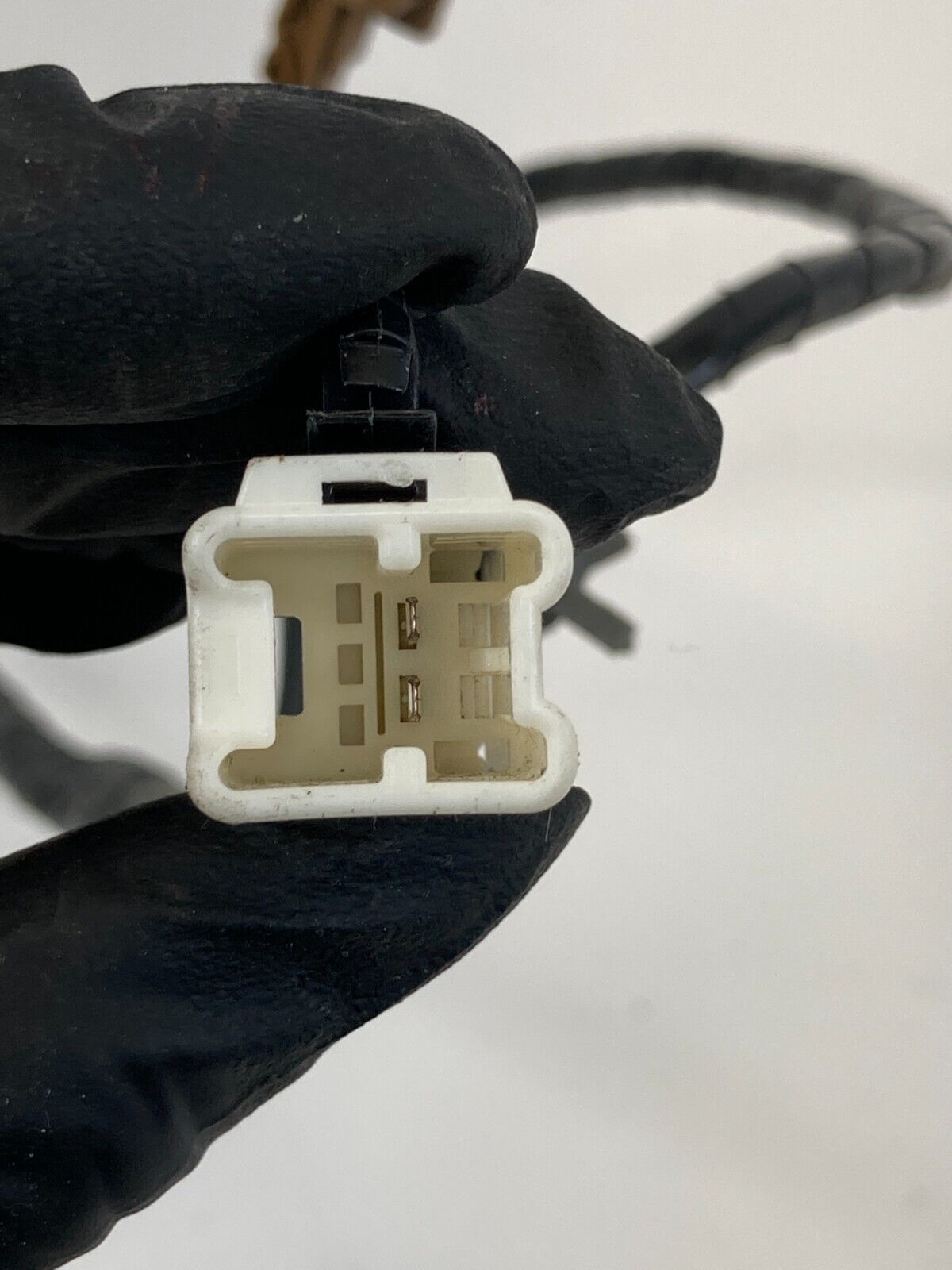 2001-2003 Nissan Pathfinder Rear Back Side Door Wire Wiring Harness 24052-5W501