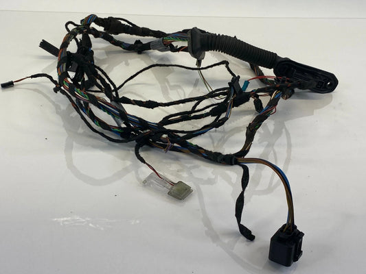 2007-2013 BMW X5 REAR RIGHT PASSENGER SIDE DOOR WIRING LOOM WIRE HARNESS OEM