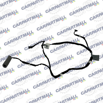 2002-2005 BMW 745I 745LI FRONT RIGHT DOOR PANEL LIGHT WIRING HARNESS 6913126 OEM