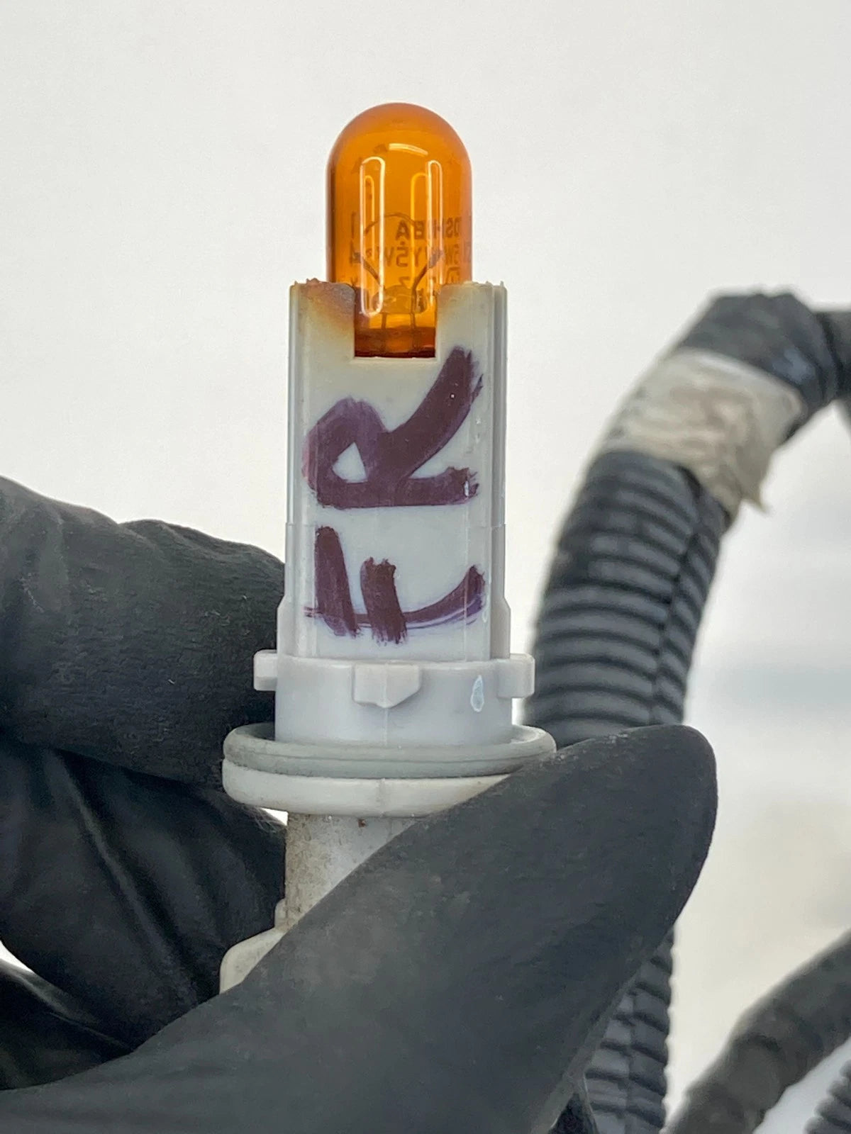 2009-2014 NISSAN MURANO FRONT RIGHT PASSENGER HEADLIGHT HEADLAMP HARNESS BULB