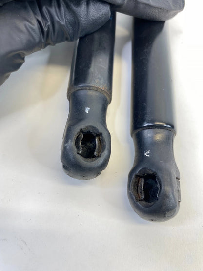 2005-2010 VW JETTA SEDAN REAR TRUNK TAILGATE LIFT SUPPORTS SHOCKS STRUTS OEM
