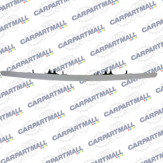 2006-2011 MERCEDES-BENZ ML 350 SUV 4-DR OUTER LIFTGATE HANDLE BEZEL MOLDING TRIM