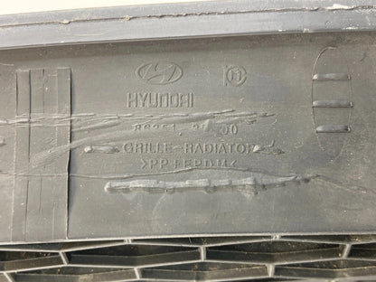 2006-2008 HYUNDAI SONATA SEDAN FRONT GRILLE GRILL MOLDING W /EMBLEM ASSEMBLY OEM