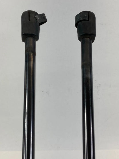 03-07 HONDA PILOT TAILGATE LIFTGATE HATCH LIFT SUPPORT SHOCK STRUT PAIR SET
