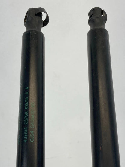 13-16 FORD ESCAPE REAR LIFTGATE SHOCKS STRUT SUPPORT PAIR SET CJ54-S406A10 OEM