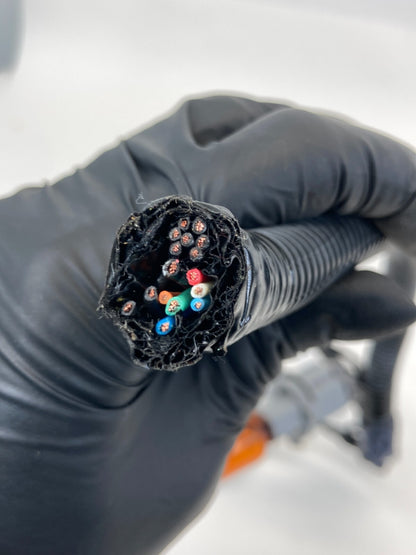 2008-2012 Honda Accord Sedan Rear Right Tail Light Taillight Bulb Harness Wire