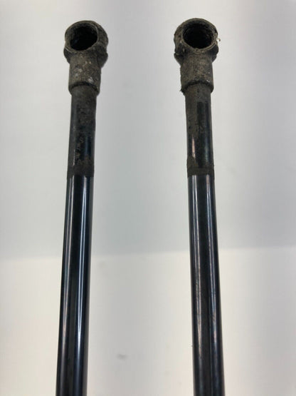 2000-2006 Toyota Tundra Hood Shock Struts Lift Support Absorber Pair 53450-0C012