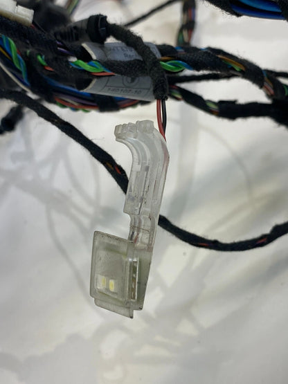 2007-2013 BMW X5 REAR RIGHT PASSENGER SIDE DOOR WIRING LOOM WIRE HARNESS OEM