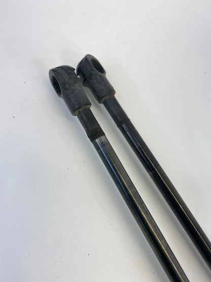 2004-2010 BMW X3 REAR TRUNK HATCH LIFT SUPPORT CYLINDER SHOCK STRUT SET OEM