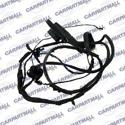 2006 2007 BMW 530I REAR RIGHT SIDE DOOR WIRING WIRE HARNESS CABLE 6928360 OEM