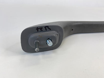 2008-2010 Honda Odyssey Rear Right Roof Inner Grab Grip Handle Assembly OEM