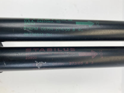 04-09 CADILLAC SRX BASE HATCH LIFTGATE LIFT CYLINDER STRUT SUPPORT PAIR 25736515