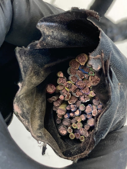 2009-2012 Ford Flex Under Hood Fuse Relay Box Compartment 8G1T-14A003-AC OEM