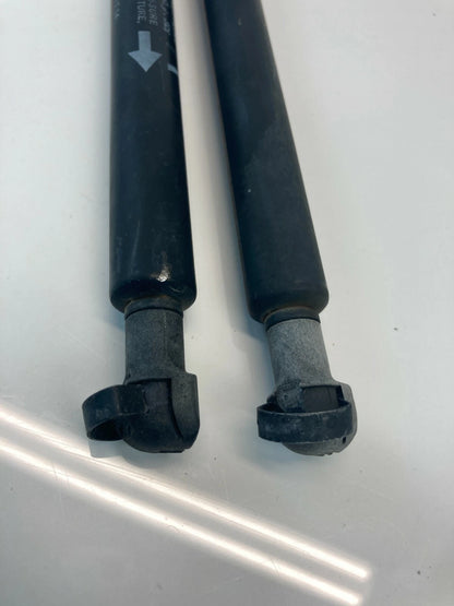 2003-2007 NISSAN MURANO LEFT & RIGHT HOOD SHOCK STRUTS LIFT SUPPORT SET OEM