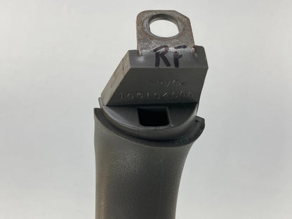 2003 CHRYSLER TOWN & COUNTRY RIGHT PASSENGER GRAB GRAP GRIP HANDLE 1001040AA