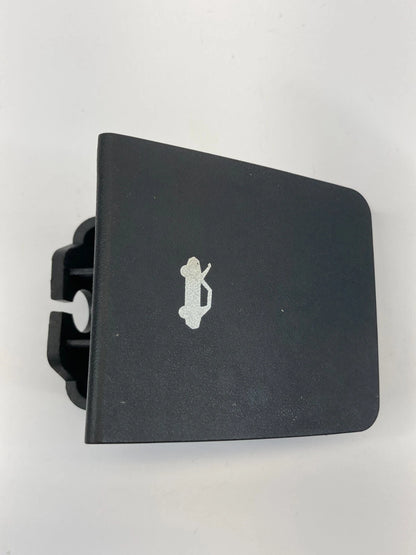 2010-2017 CHEVROLET CHEVY EQUINOX BONNET HOOD OPENER RELEASE HANDLE LEVER OEM