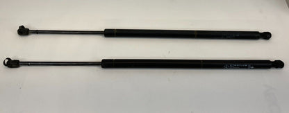 2001-2007 Dodge Caravan Rear Trunk Liftgate Strut Shock Pair Set 04589502AA OEM