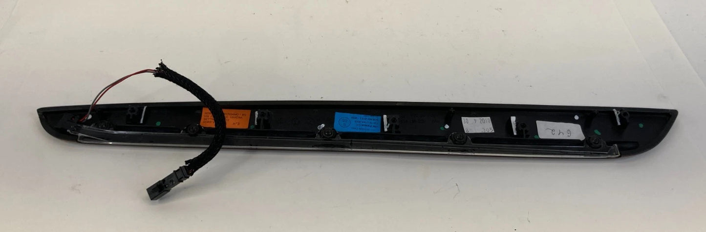 2013-2017 VOLKSWAGEN CC REAR LEFT SIDE DOOR PANEL TRIM MOLDING 3C8-867-419-L OEM