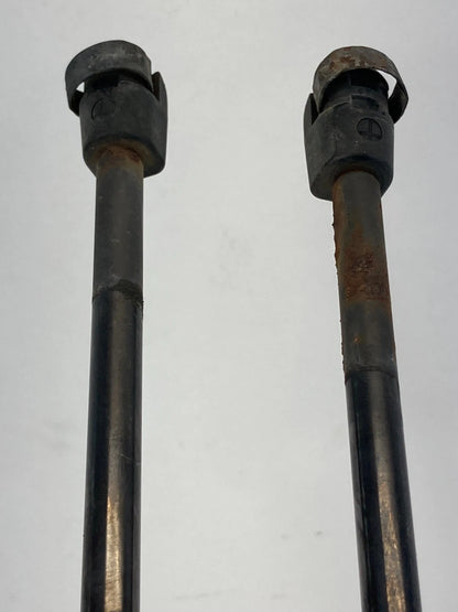 13-16 FORD ESCAPE REAR LIFTGATE SHOCKS STRUT SUPPORT PAIR SET CJ54-S406A10 OEM