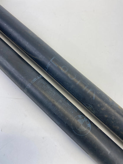 2004-2010 BMW X3 REAR TRUNK HATCH LIFT SUPPORT CYLINDER SHOCK STRUT SET OEM