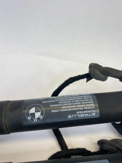 2011-2017 BMW X3 REAR TRUNK LIFTGATE SHOCK HATCH STRUTS PAIR SET OEM