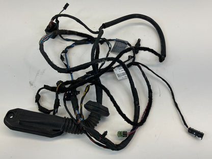 2008-2010 BMW 550i Rear Left Door Wire Wiring Harness Cable 9163159 OEM